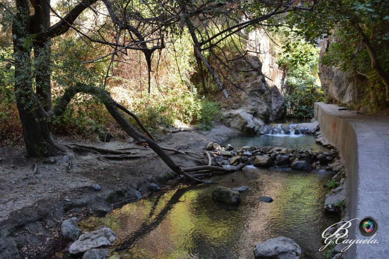 Casa Rural Los Abuelos โมนาชิล ภายนอก รูปภาพ